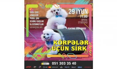 “Balacalar üçün Sirk” adlı teatr tamaşası bütün ailəni sevindirəcək