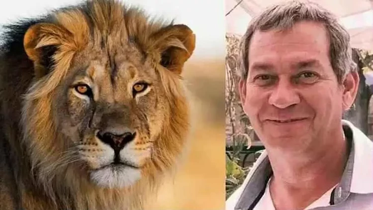 Məşhur iş adamını şir parçaladı - FOTO