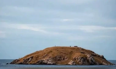 Xəzərdə 160 il sonra ilk: Azərbaycan yaxınlığında göründü
