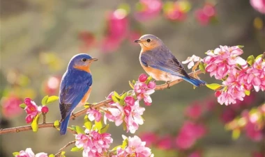 Sabah Bakıda 29 dərəcə isti olacaq