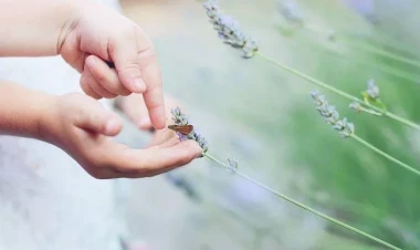 Atəş altında olan təbiət: Müharibə döyüş bölgələrində bütün ekosistemləri necə məhv edir?