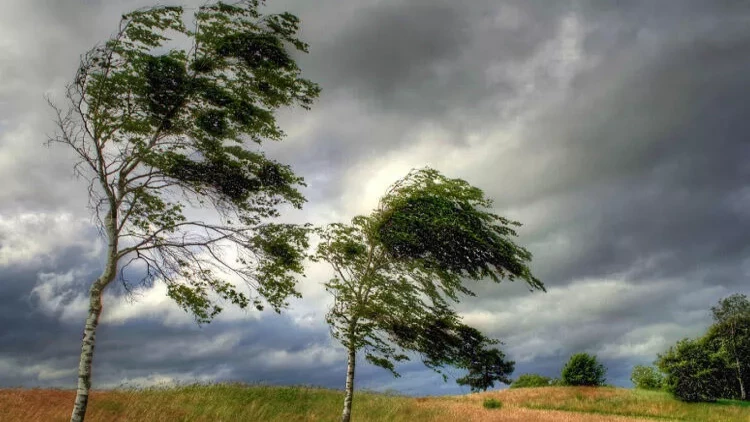 Küləklə bağlı sarı və narıncı xəbərdarlıq edildi