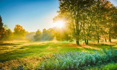 36 dərəcə isti olacaq