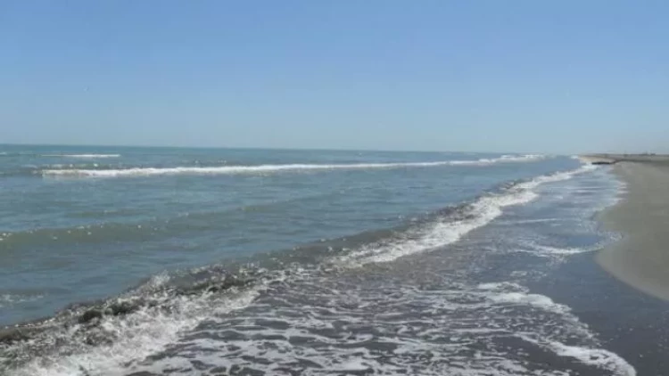 Xəzərdə yeni ada yaranıb