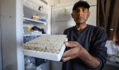 Başlamadan bitən həyatlar: Qəzzada vurulan klinikanın müəmması