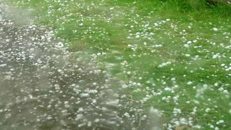 Qax və Zaqatalada təbiətin sərt üzü: Doludan sonra su, sudan sonra lil