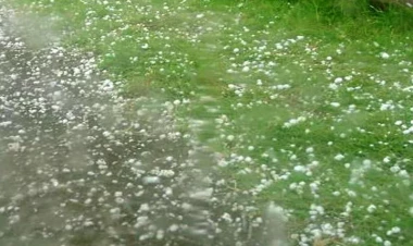 Qax və Zaqatalada təbiətin sərt üzü: Doludan sonra su, sudan sonra lil