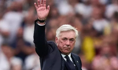 Kövrək vida - FOTO