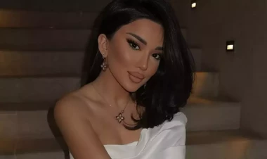 Hava limanında nə baş verib? - Bloqerə rəsmi cavab