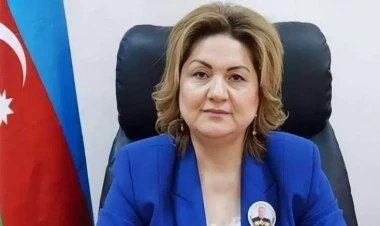 Direktorun işdən çıxarılma səbəbi bəlli oldu