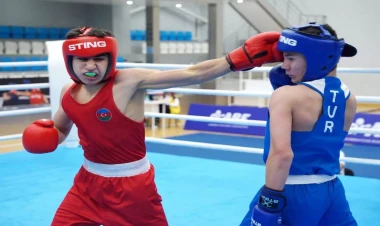 8 boksçumuz 1/4 finala yüksəldi