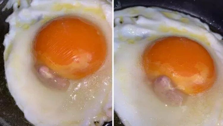 Bu xəbərdən sonra yumurtanın ağını yeməyəcəksiz