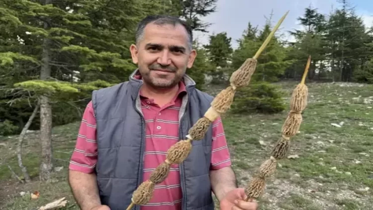 Kilosu 40 manata satılır - Bütün kənd bura axın edir