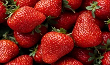 Nə edək ki, çiyələklər tez xarab olmasın?