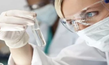 Genlərə əl dəymədən müdaxilə: Yeni dövrün biotexnologiyası