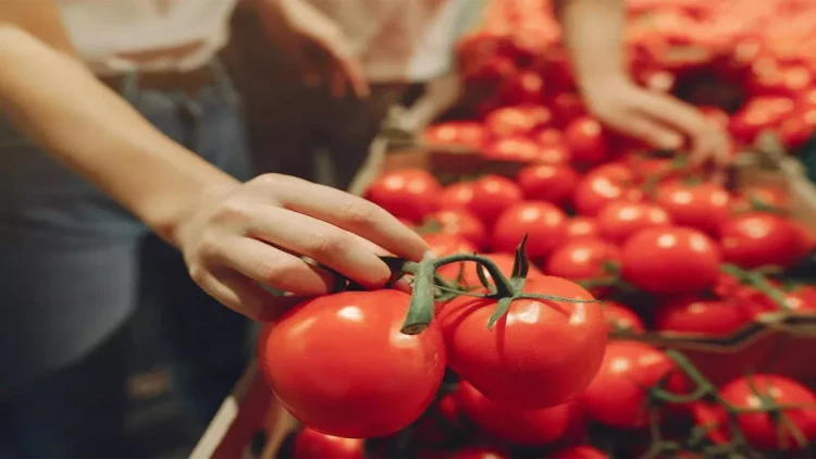Pomidorla bağlı mühüm qərar verildi - rəsmi