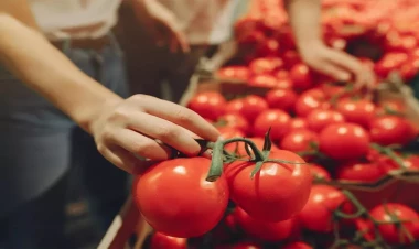 Pomidorla bağlı mühüm qərar verildi - rəsmi