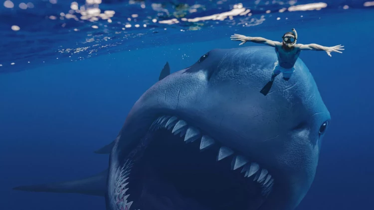 Təhlükəli okean: Dünyanın ən qorxulu dəniz canlıları