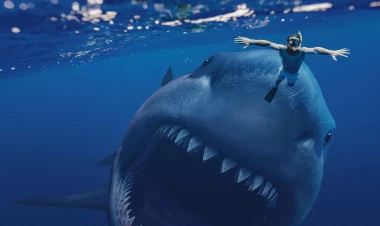 Təhlükəli okean: Dünyanın ən qorxulu dəniz canlıları