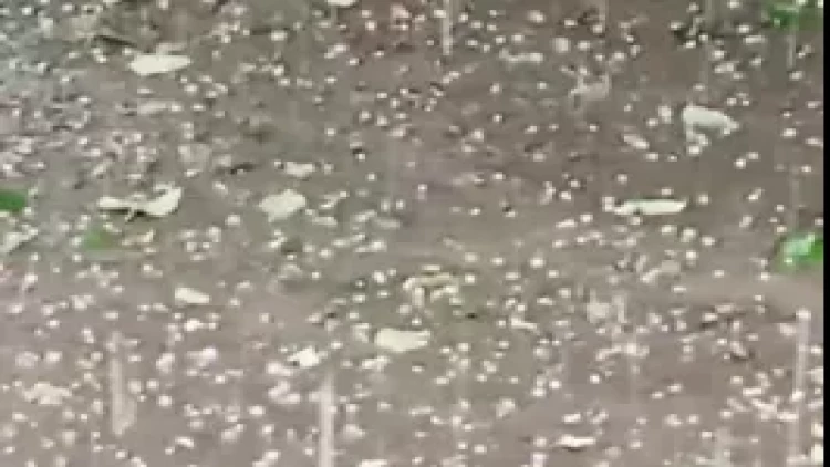 Yardımlıya güclü dolu yağdı - VİDEO