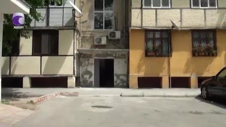 Azərbaycanda təhlükəli canlılar peyda oldu - 60 ailə təhlükədə - VİDEO