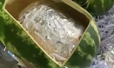 Narkotiki görün nəyin içində keçirmək istədilər - FOTO