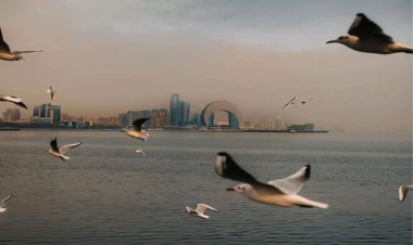 Azərbaycanlı iş adamından təklif - İki dənizi birləşdirək