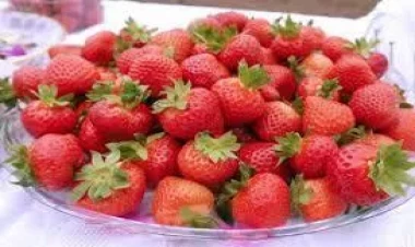 Zəhərli çiyələyi belə tanıyın və almayın! – Sadə metod