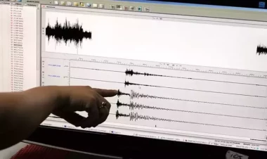 Türkiyədə daha bir zələlə oldu