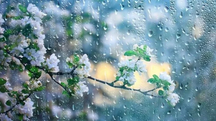 Yağış yağacaq, şimşək çaxacaq - bu tarixdə