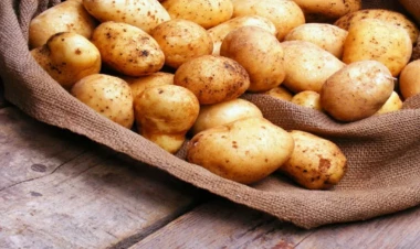 Kartofun çürüməsinin qarşısını almaq üçün  5 sadə ÜSUL