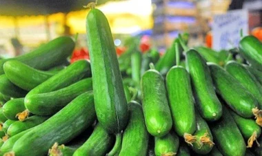 Xiyar hansı hallarda zərərlidir? - Tərkibində elə şey var ki...