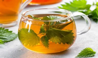 Bitkisinə əl vurmaq olmur, ancaq çayı çox faydalıdır