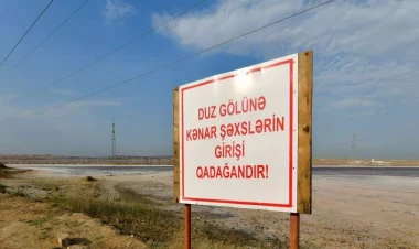 Duz gölünə kanalizasiya suyu axıdılır? - Qurumlardan REAKSİYA