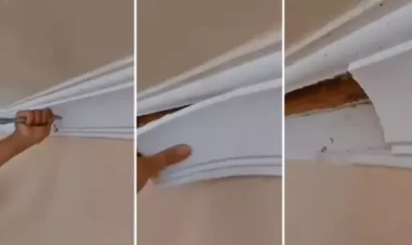 Bakıda evdən görün nə tapıldı - İllərdir belə yaşayıblar... - FOTO