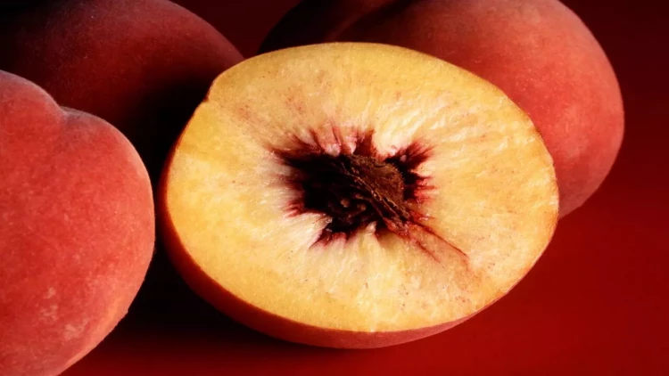 Ömründə bir dəfə şaftalı yeyib, o gündən heçnə yeyə bilmir