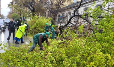 55 ağac sınıb, 15-dən çox ağacın budaqları qırılıb - FOTO