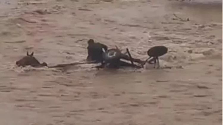 Özü sağ qalmağı bacardı, atını sel apardı - VİDEO