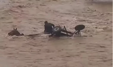 Özü sağ qalmağı bacardı, atını sel apardı - VİDEO