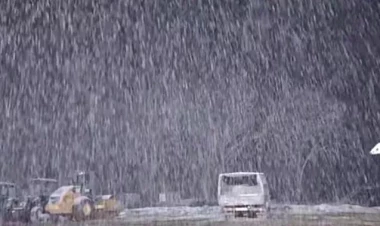 Laçın apreldə ağ örpəkdə - FOTO