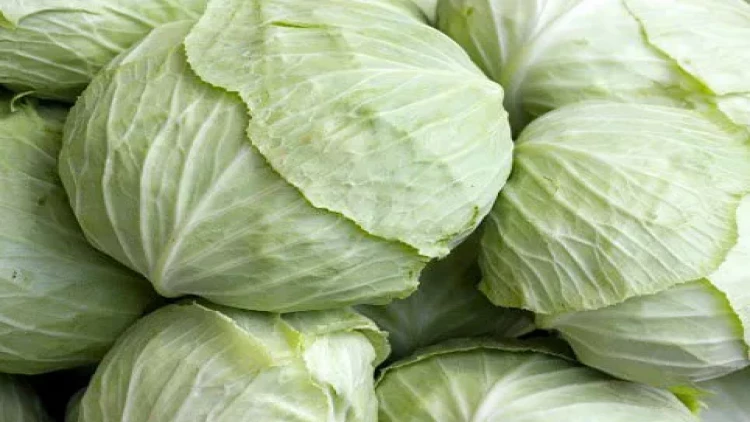 Yuxuda kələm görmək nə deməkdir?