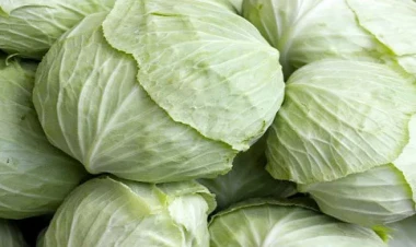 Yuxuda kələm görmək nə deməkdir?