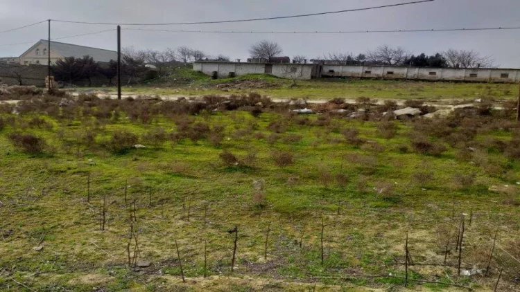 Çıxarışı olmayan torpağın aqibəti necə olacaq?