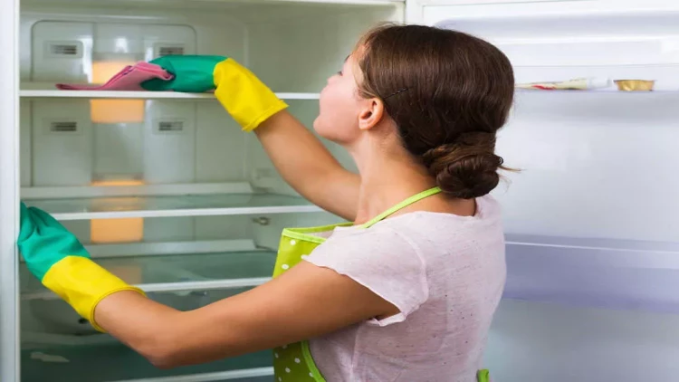 Soyuducudakı pis qoxuya son - 3 sadə vasitə