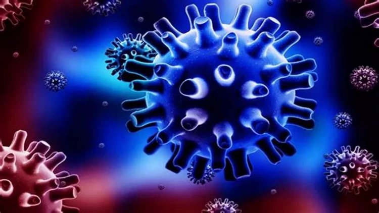 AQTA bu xəstəliyə görə əhaliyə XƏBƏRDARLIQ etdi