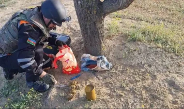 Sarayda əl qumbaraları tapıldı - FOTO