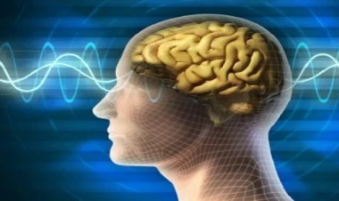 Beyni 10 yaş cavanlaşdıran üsul