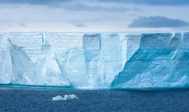 Antarktidanın qaranlıq üzü: Hücum və ölüm təhdidləri qorxu yaradır