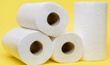 Niyə soyuducuya kağız dəsmallar qoymaq lazımdır? - SƏBƏB