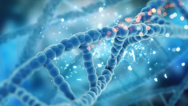 Yerdə ilk canlı orqanizm harada yarana bilərdi? - Yeni kəşf